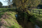 NMV20141018-70390
