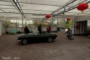 NMV20150503-78118 (c)Visch - Art2013
