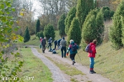 NMV20131103_50872 de hele groep bij de Puntmutswasplaat (Hygrocybe acutoconica) (c)Visch - Art Fotografie 2013