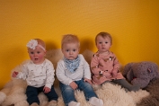 2019-1 Visch - Art Fotografie 2017