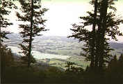 006-1999