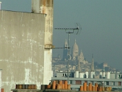 DSCF0203