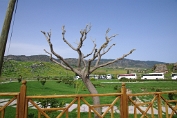 Pamukkale005
